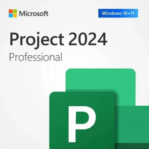 Ürün MİCROSOFT PROJECT STANDART 2024 - ESD EP2-07057 Görsel