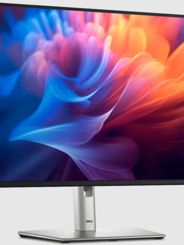 Ürün 27 DELL P2725H IPS FHD 5MS 100HZ HDMI DP VGA PİVOT Görsel